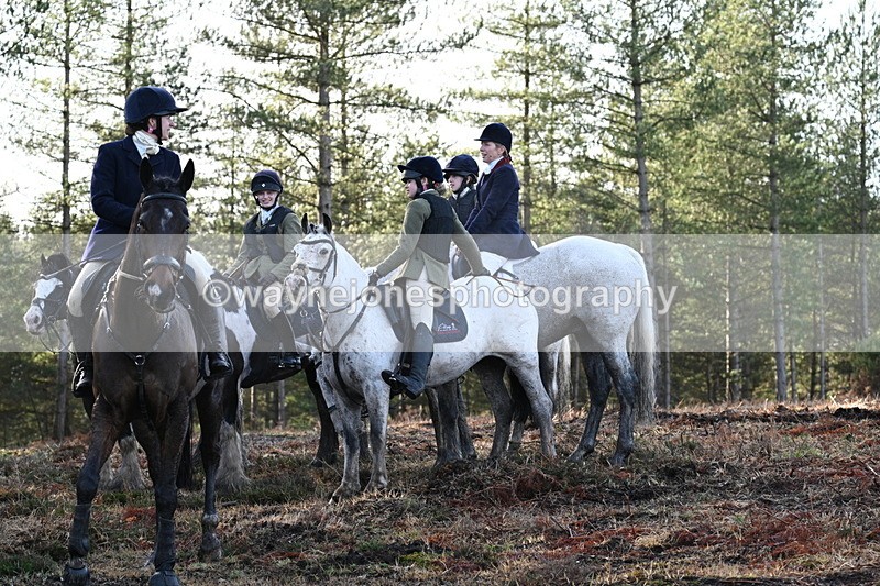 WJ7_7495 - Line 3 (no line 4 or 5)