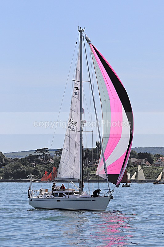 190601 GIGI - OYSTER 45 1Y3A8912 - 190601 GIGI GBR4536 - OYSTER 45
