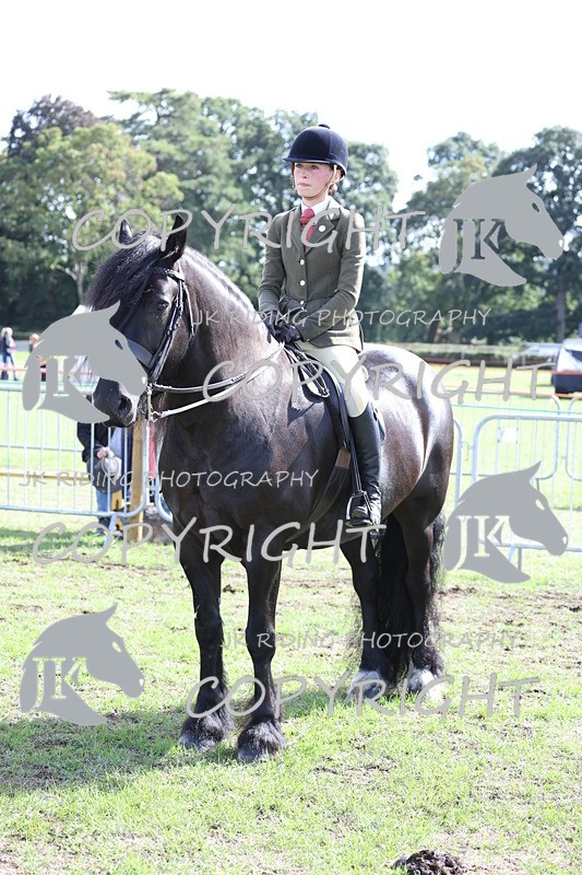 APP_3695 - Class 12 M&M ridden