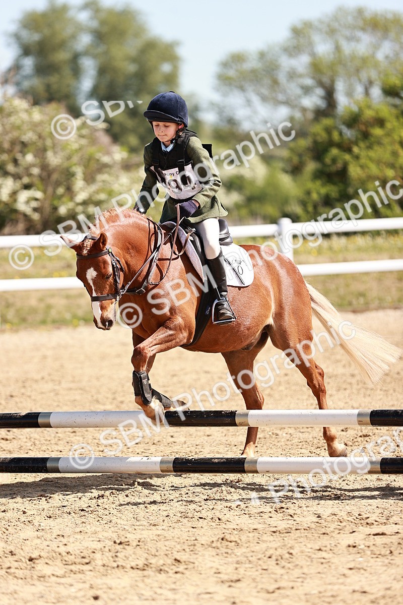 SBM_006924 - Class 2 - 50cm