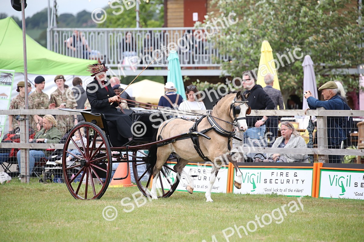 SBM_05894 - Class 12-15 - HOYS Private Driving