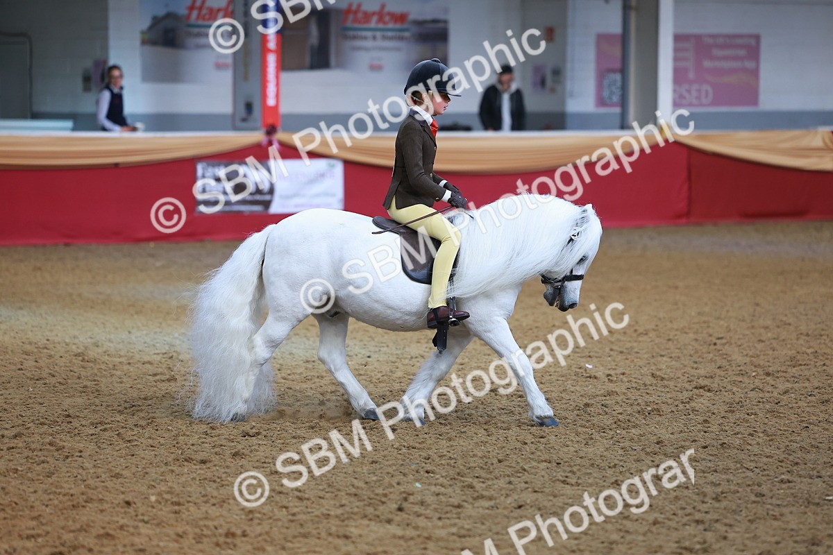 SBM_09453 - Class 102 - HOYS Veteran Qualifier - Ridden Veteran