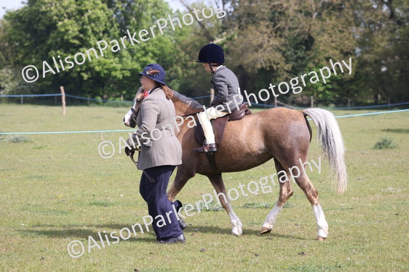 20260426-0545 - Class 30 - Tiny Tots Lead Rein