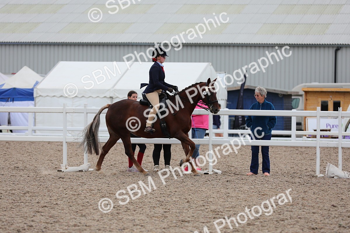 SBM_18111 - Class 316 Best Pony/Rider Combination
