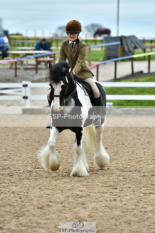 230416A-120016-04275 - Cls 72+73+69 Welsh, Trad Cob and Foreign