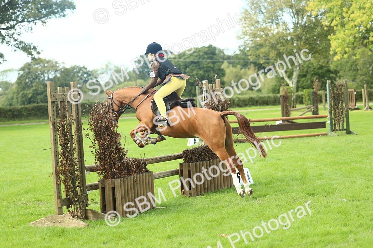 SBM_44643 - S31 - Working Hunter Pony
