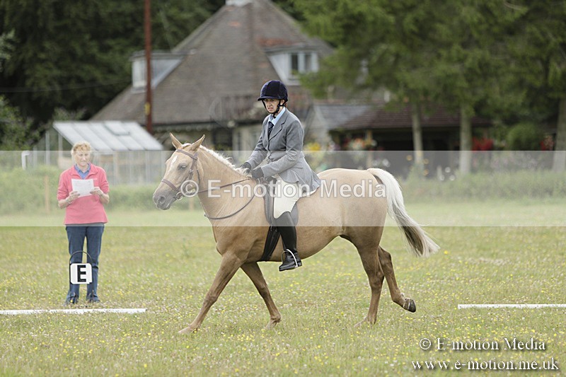 BVR160717-1195 - Class 2 Dressage 16/07/17