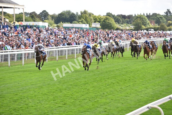 yr19082022r3-33 - Race 3 3.00pm Al Basti Equiworld Dubai Gimcrack Stakes