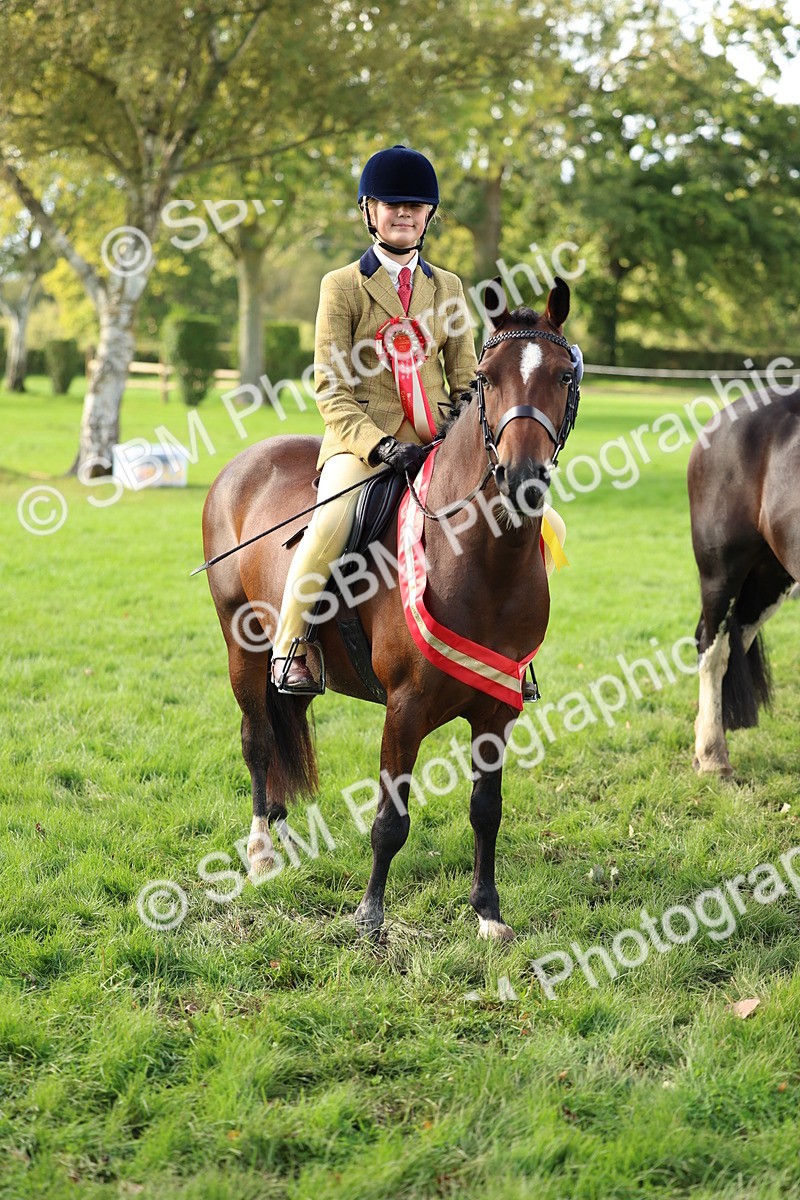 SBM_46393 - Working Hunter Pony Supreme Championship