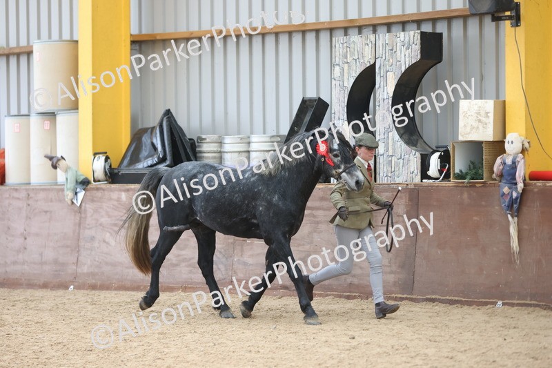 20251109-1124 - Championship