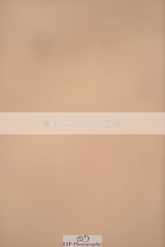 230810A-132318-01147 - Cls 10 6 Year Old Championship