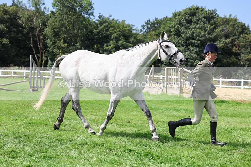 3E7A8806 - Class 5: Working Show Horse