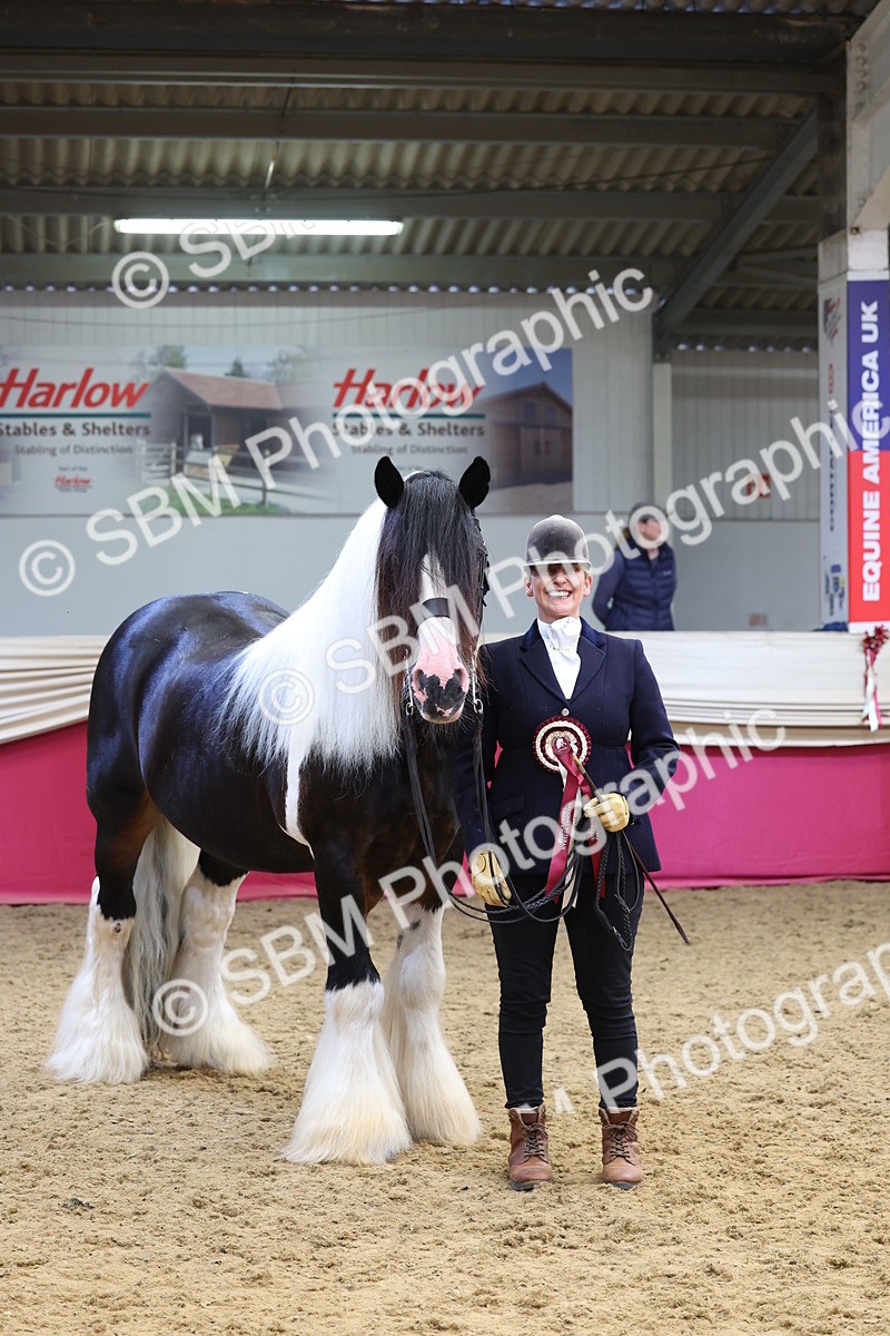 SBM_22927 - Class 903 - Supreme Final - IH Pre Vet