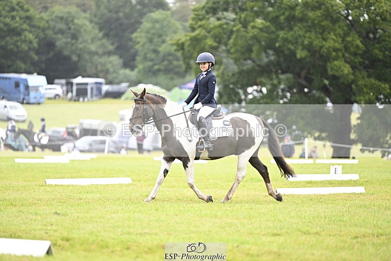 240824X-102057-21628 - D70 Section A and B 9.30 to 10.40