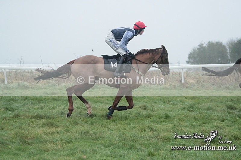PtP 101223 505 - New Forest Hounds PtP Larkhill 10/12/23