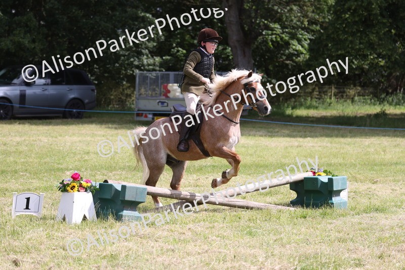 20260614-0739 - Class 20 - Beginners Working Hunter Pony