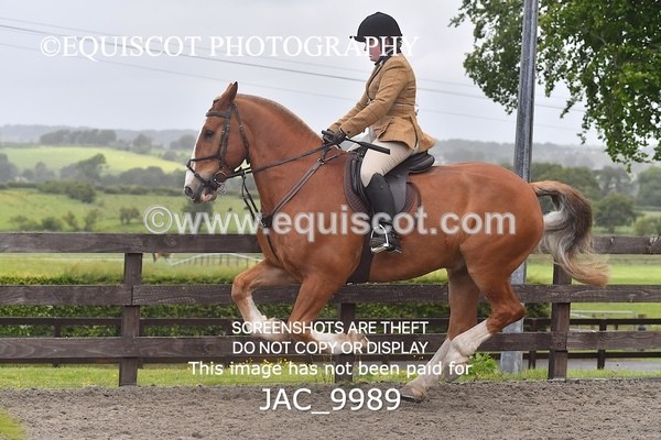 JAC_9989 - CLASS 3 Intermediate Working Hunter (0.70m - 0.85m)