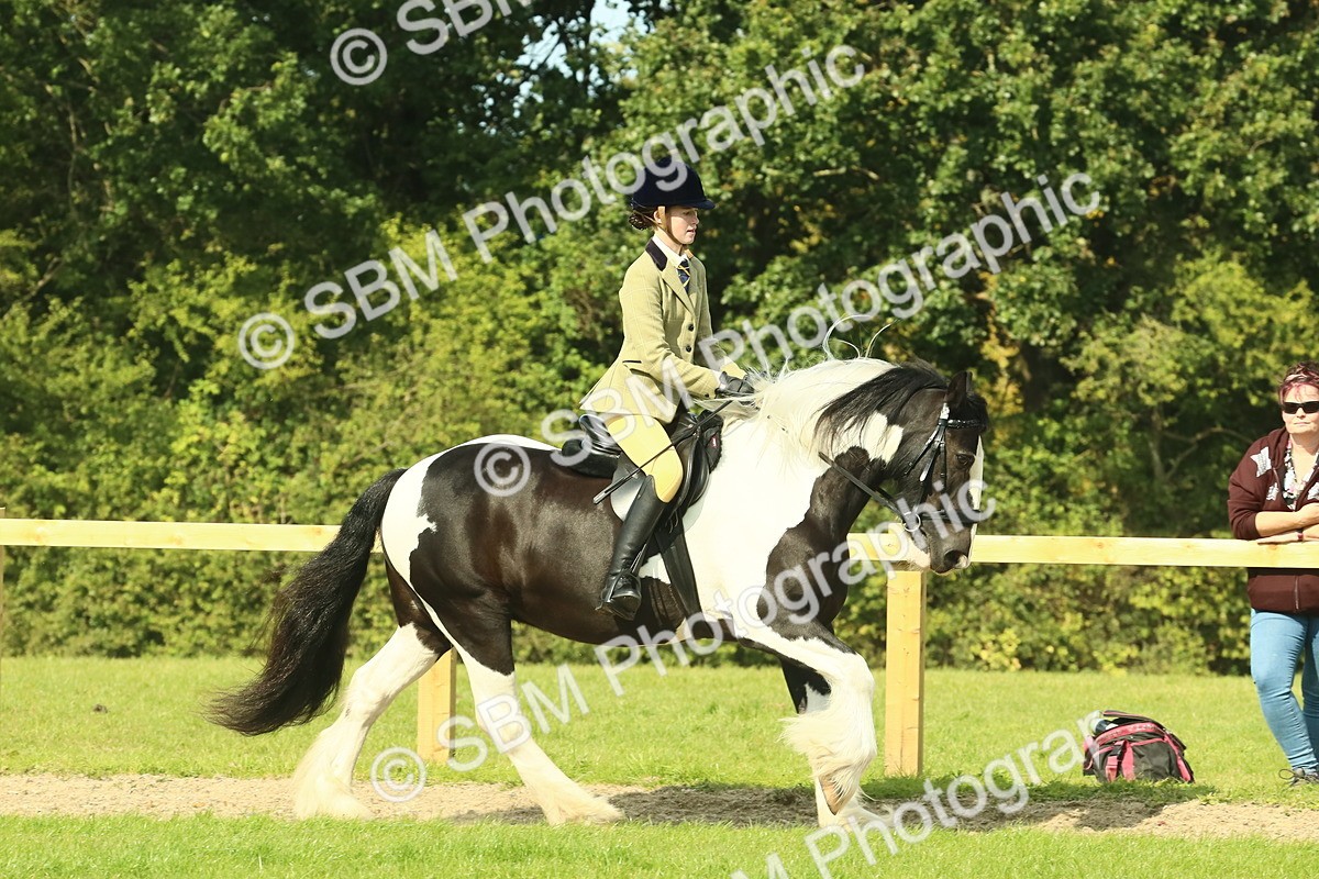 SBM_67456 - S56 - Coloured Pony Ridden