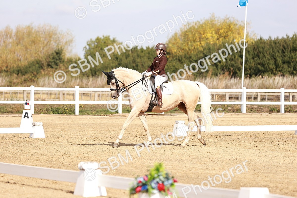 SBM_017016 - Class 10 - Medium 6