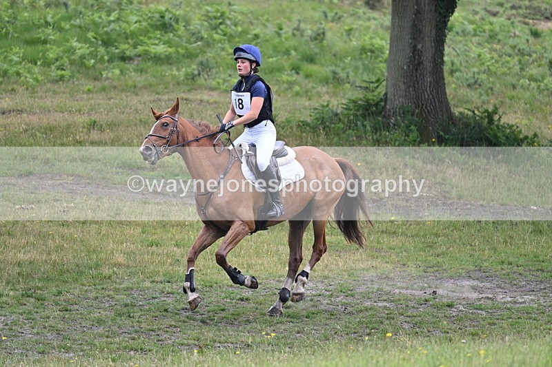 WJ7_9370 - Time 11:26 to 11:40