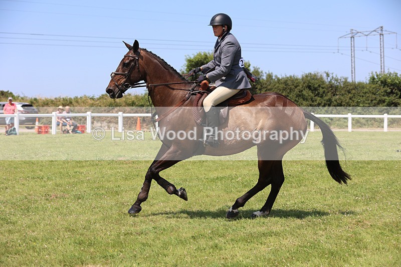 JPP_3009 - Class 22: Working Hunter 70cm
