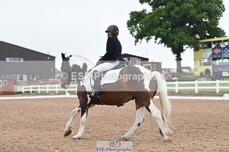 230708A-111536-01543 - Prelim 7