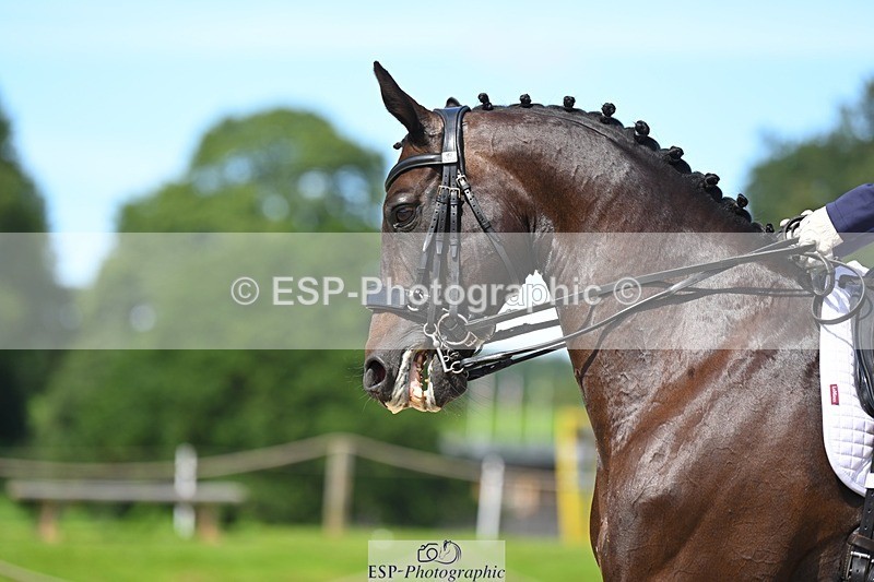 230811-121919-01243 - Cls 4 Adv Medium Silver