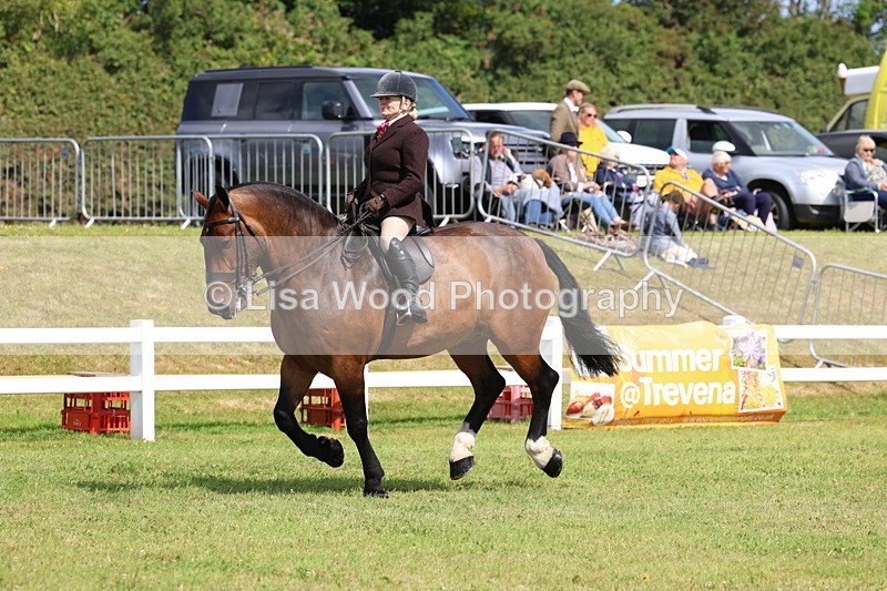 3E7A9733 - Class 5: Rising Star Lightweight/Heavyweight Cobs