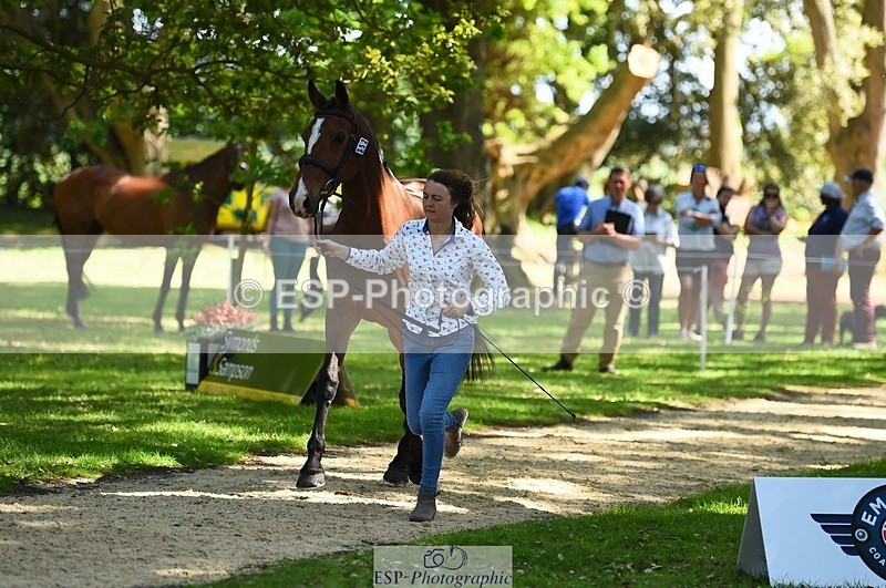 230524-153000-00304 - 352-TEQUILA_SUNRISE-Pippa_Taylor-WEDTrotUp+DR