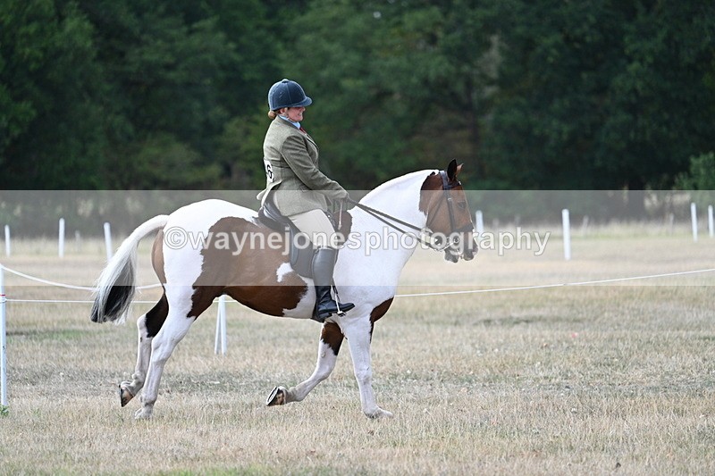 WJ7_7197 - Class 14 Ridden Coloured