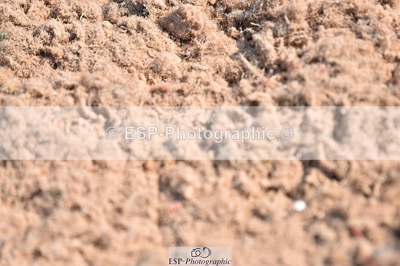 230609A-100318-00253 - Cls 8 British Novice & 90cm Open