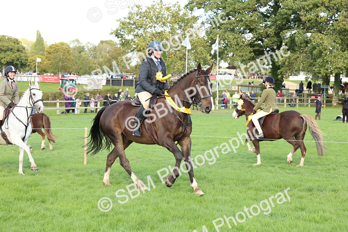 SBM_50212 - S34 - Novice & Newcomers Working Hunter