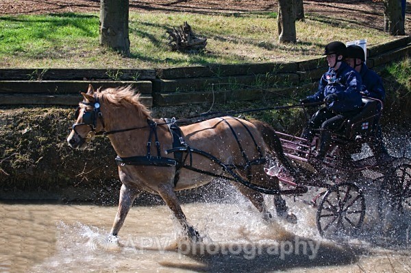 _DSC0022 - Ashfields Carriage & Polo Club