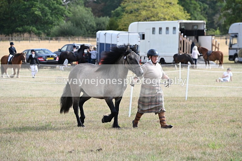 WJ6_4124 - Class 15 Youngstock