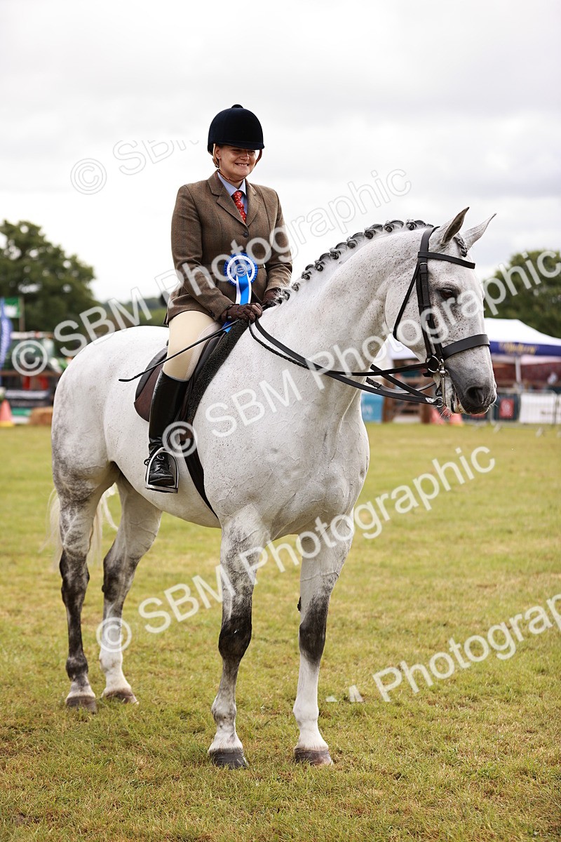 SBM_11581 - Class 81-84 - RIHS Ridden hunters Inc Ladies Hunter