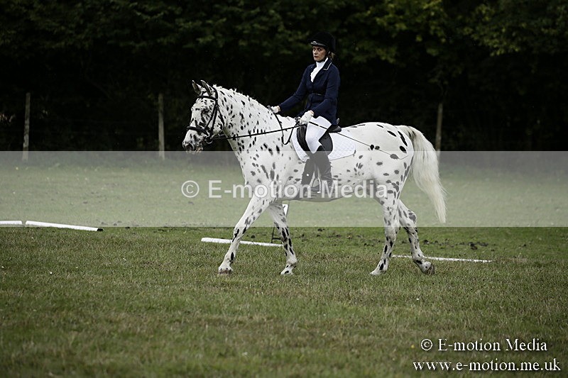 BVR080918 117 - BVRC Novice Dressage & CR 08/09/18