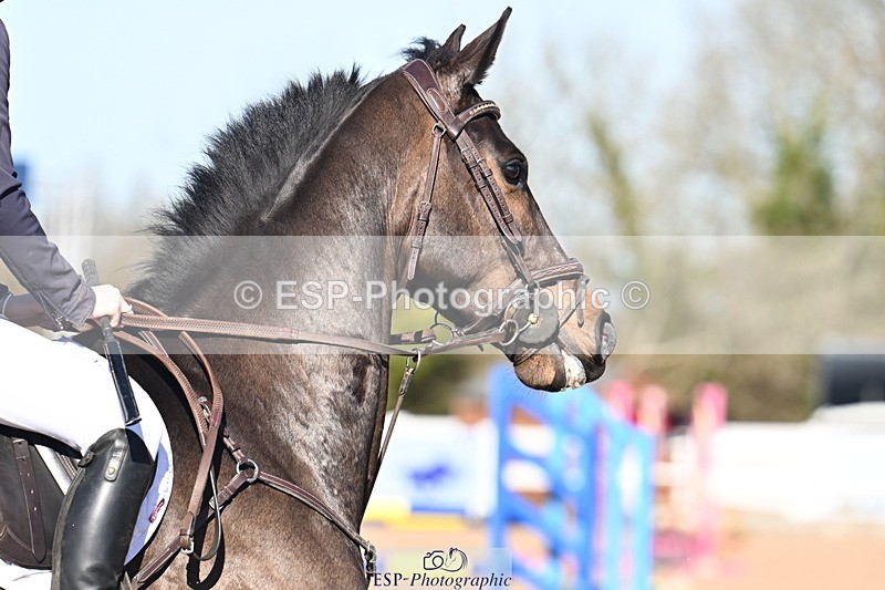 260318B-101951-00056 - Clear Round & Brit Nov 90cm