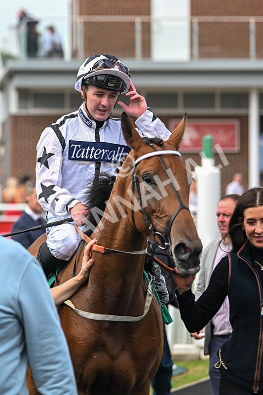 060925-Race 1-Dunkeld Dreamer-4256 - Race 1