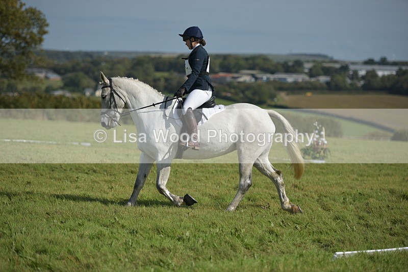 RAY_8094 - Class 2B: Trekenning Open: Dressage