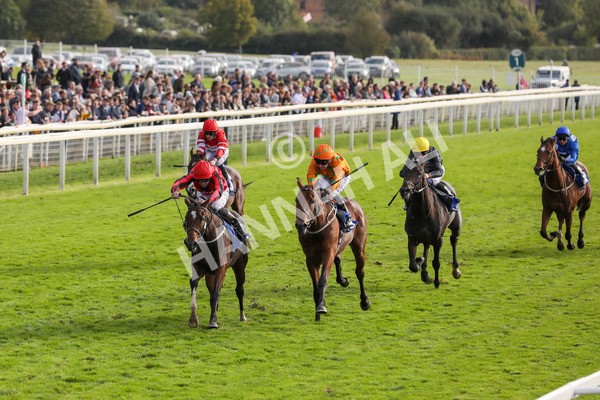 141023-Race 4-Colorada Dancer-0457 - Race 4 3.05pm Coral Racing Club EBF Maiden Stakes