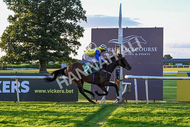 160824-Race 6-Smart Vision-9810 - Race 6