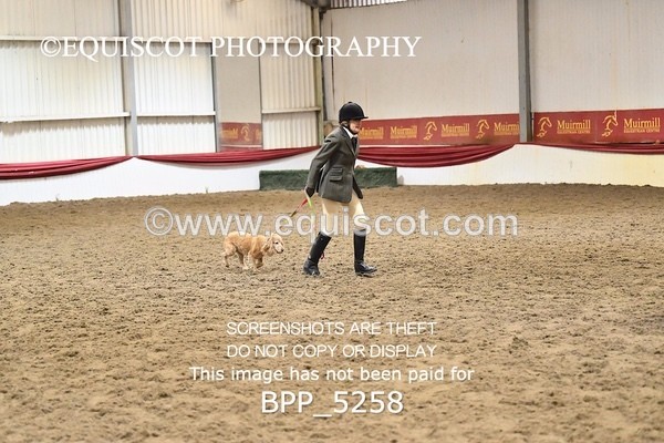 BPP_5258 - CLASS 5 HORSE AND HOUND