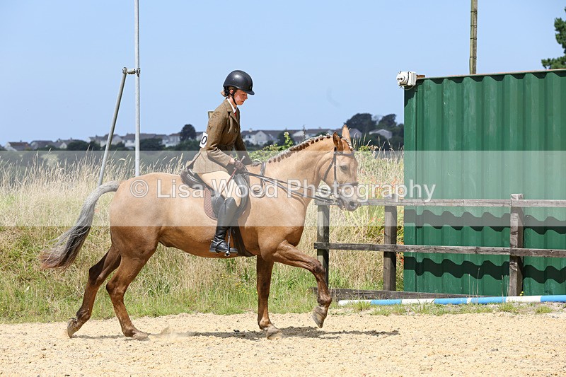 1X9A8787 - Class 19: Riding Club Horse