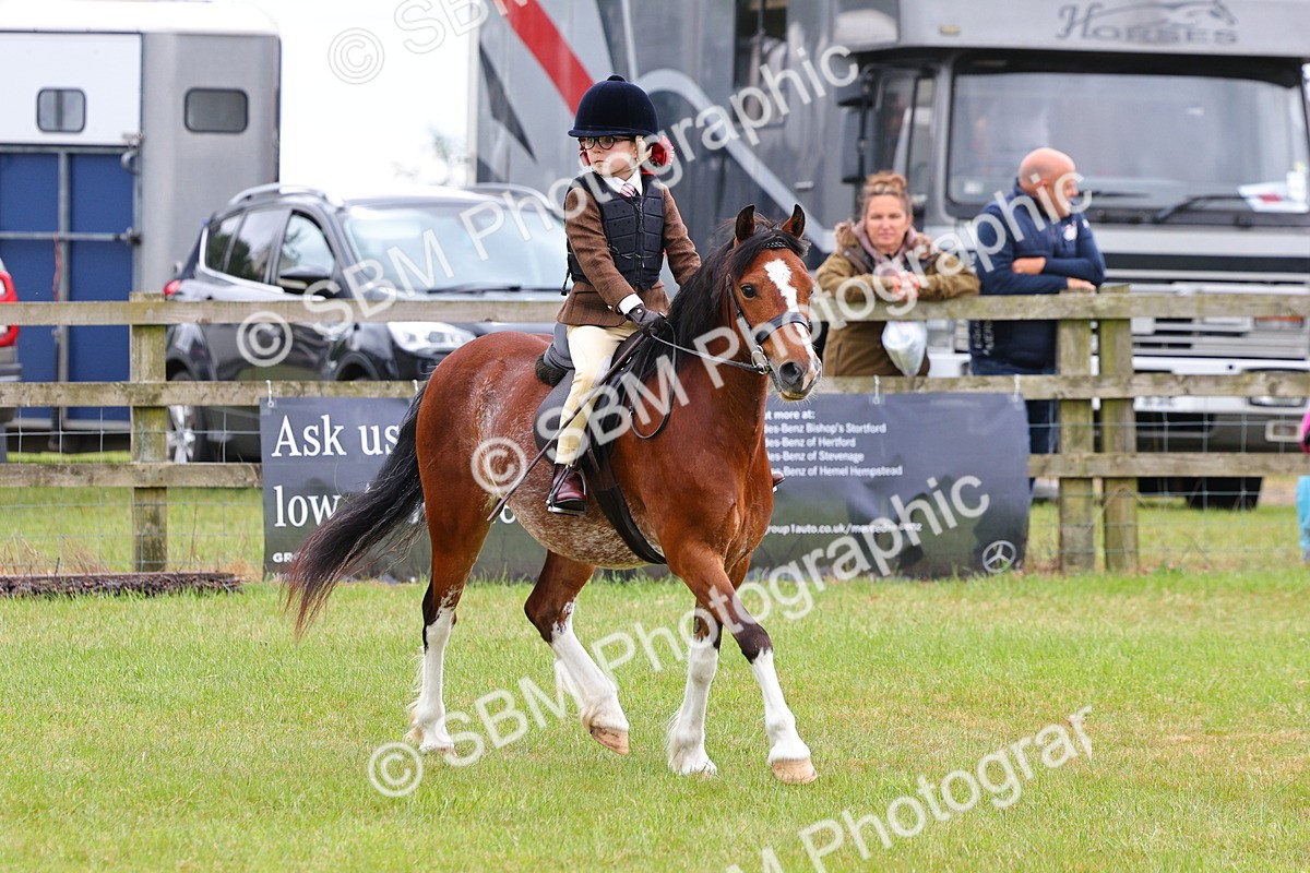 SBM_08768 - Class 42-43 - LIHS BSPS Heritage Working Sports Pony