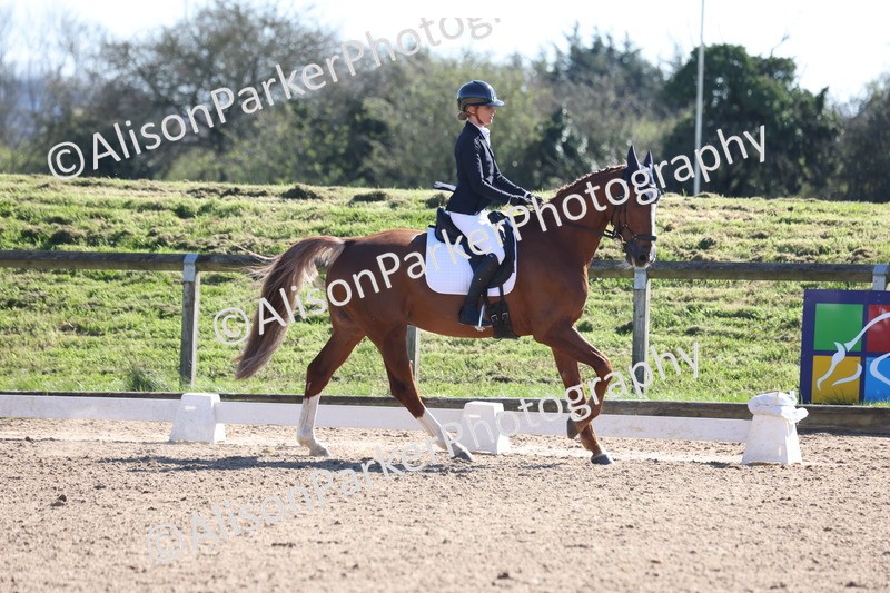 20260318-0522 - Class 5 - Novice 2