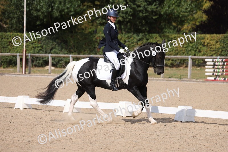 20250820-1372 - Class 19 - Medium 3