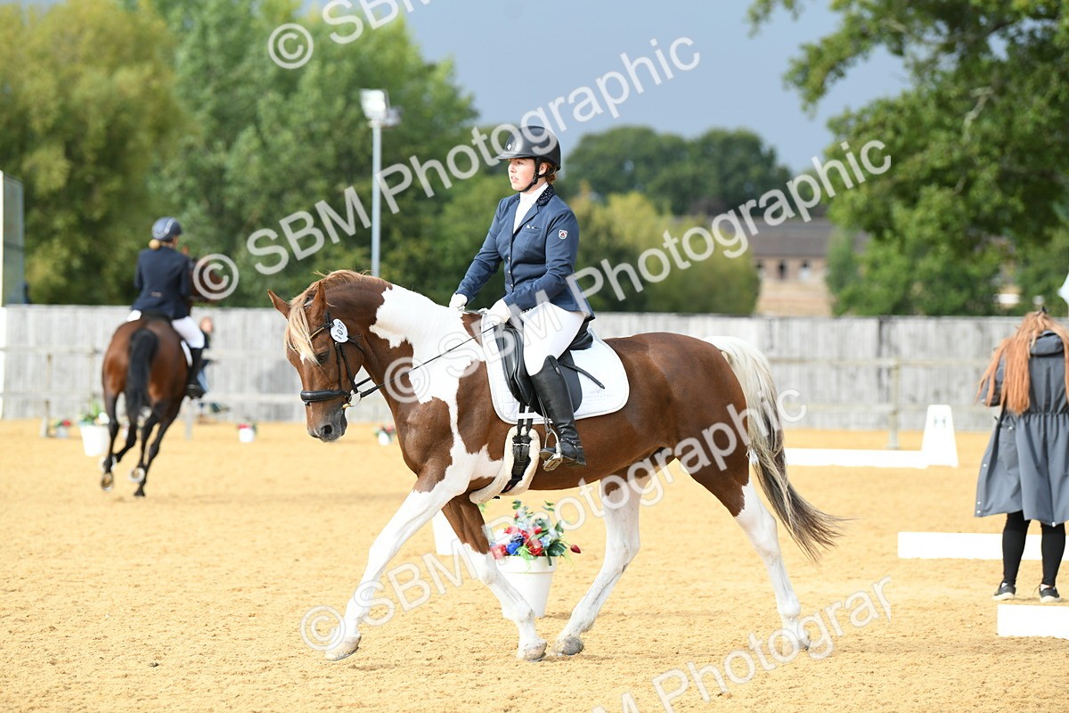 SBM_11043 - D28 Elementary Taster Elementary 42