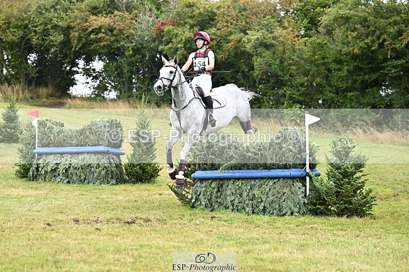 TS_b3321344 - SAT BE 90 Recovered Files fence 8