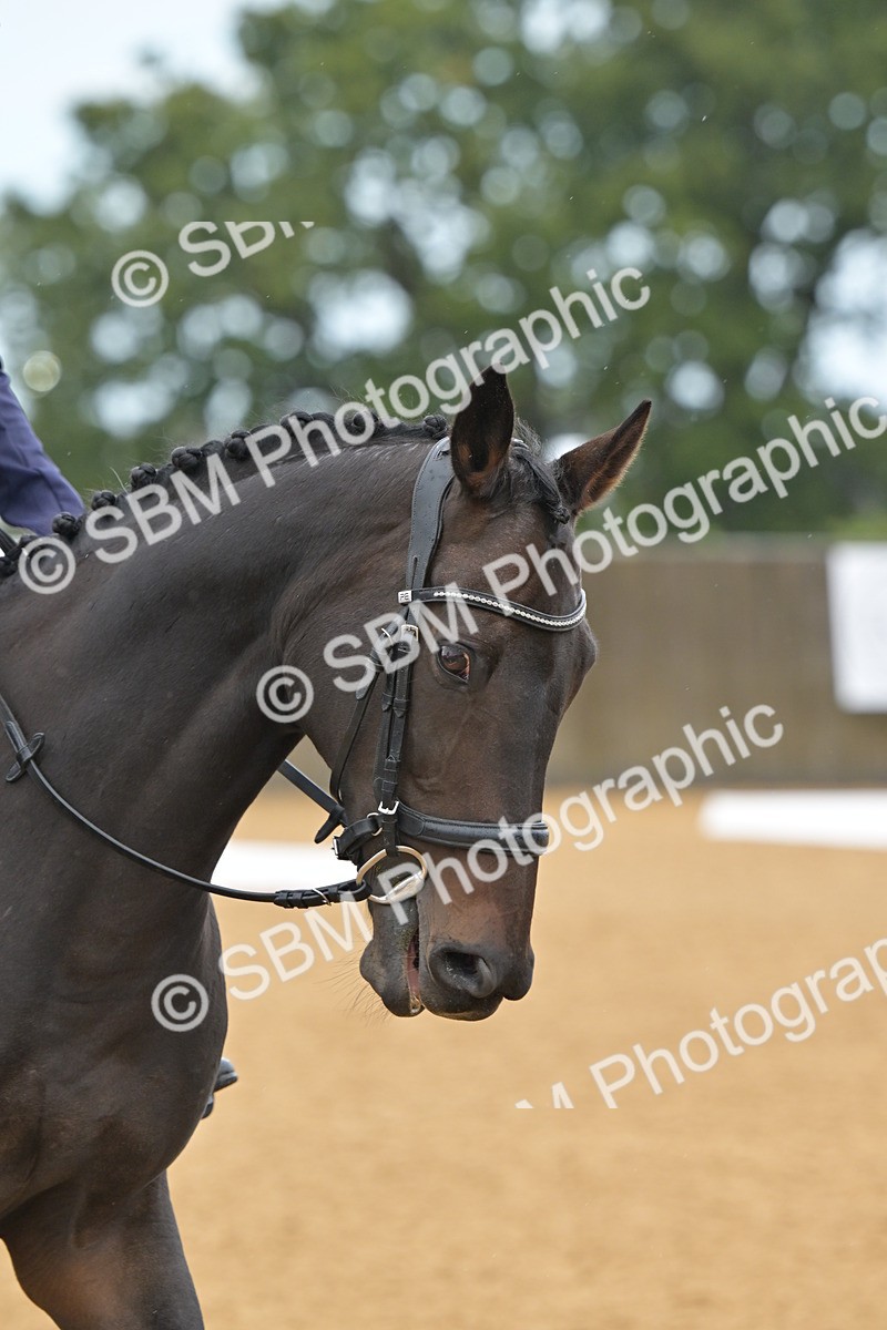 SBM_02283 - D2 - Small Tour Championship Intro 2