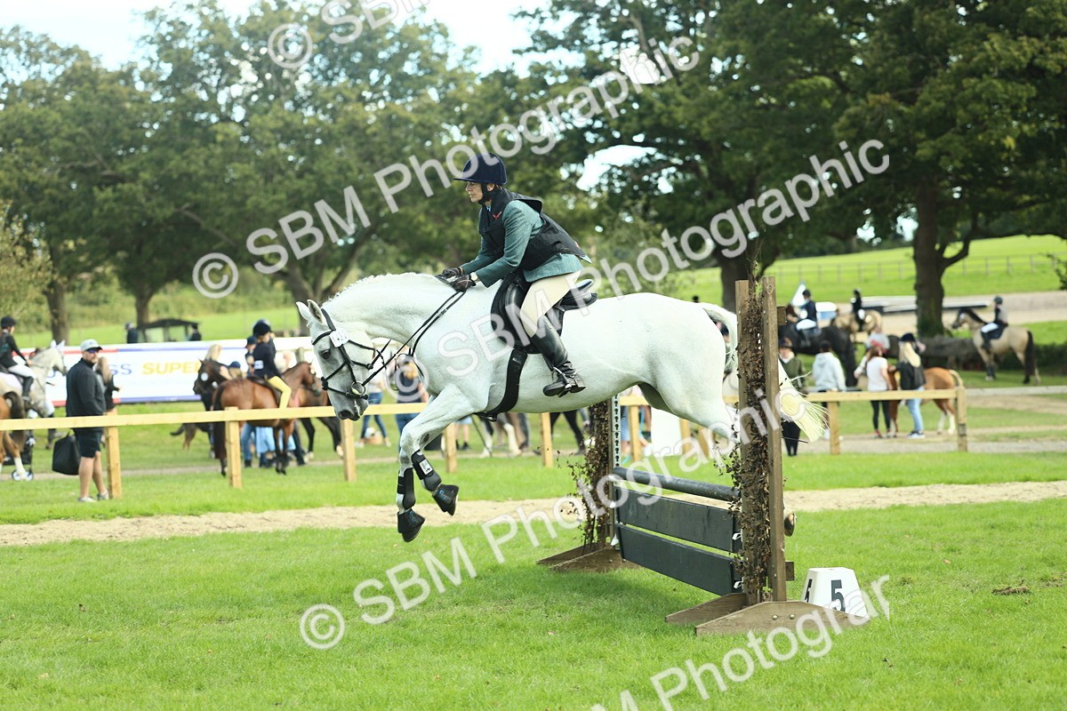 SBM_50595 - S33 - Working Hunter & Working Show Horse